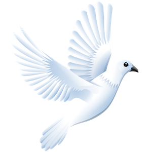 Pigeon PNG-54582